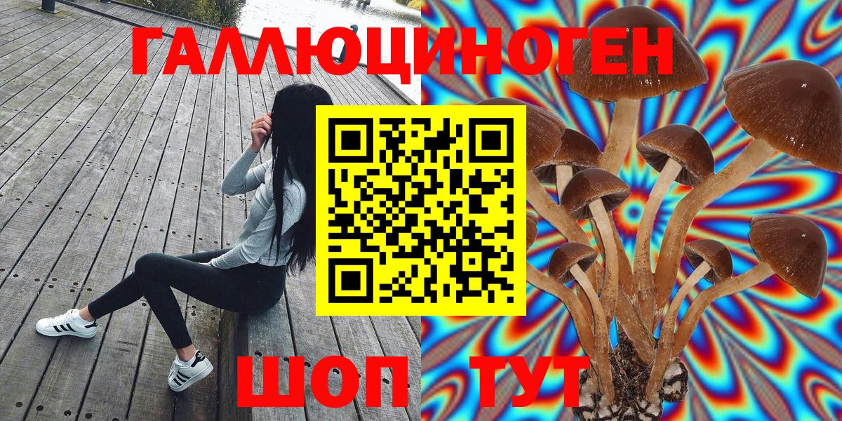 Галлюциногенные грибы MAGIC MUSHROOMS  Вход с VPN  Уфа 